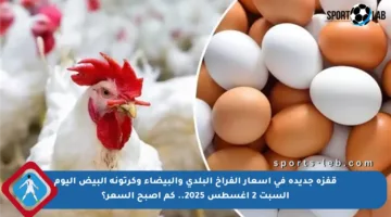 قفزة جديدة في أسعار الفراخ البلدي والبيضاء وكرتونة البيض اليوم السبت 2 أغسطس 2025.. كم أصبح السعر؟